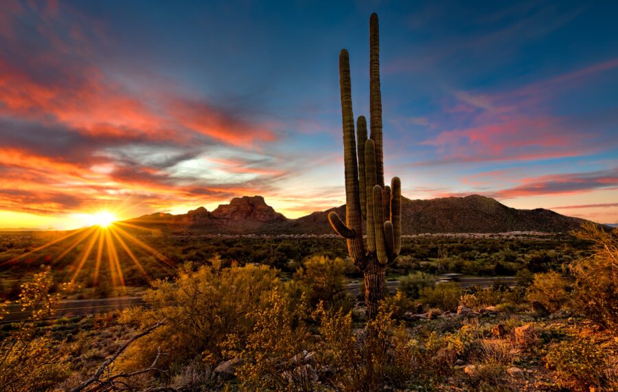 mental performance coaching scottsdale az