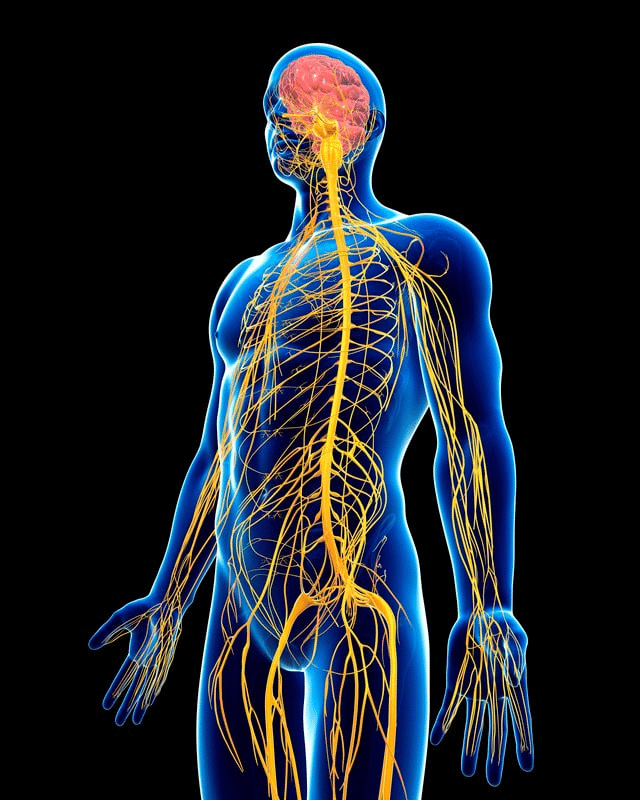neurofeedback services scottsdale az