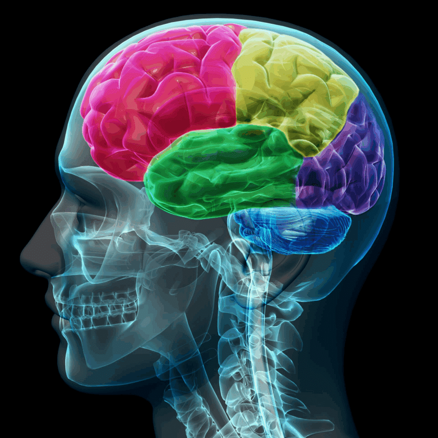 traumatic brain injury counseling in scottsdale az