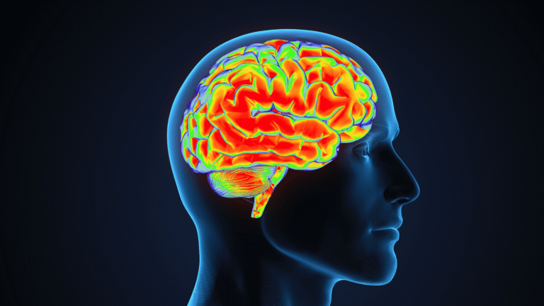 the difference between neurofeedback and biofeedback