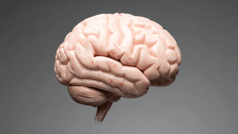 brain mapping and neurofeedback in arizona