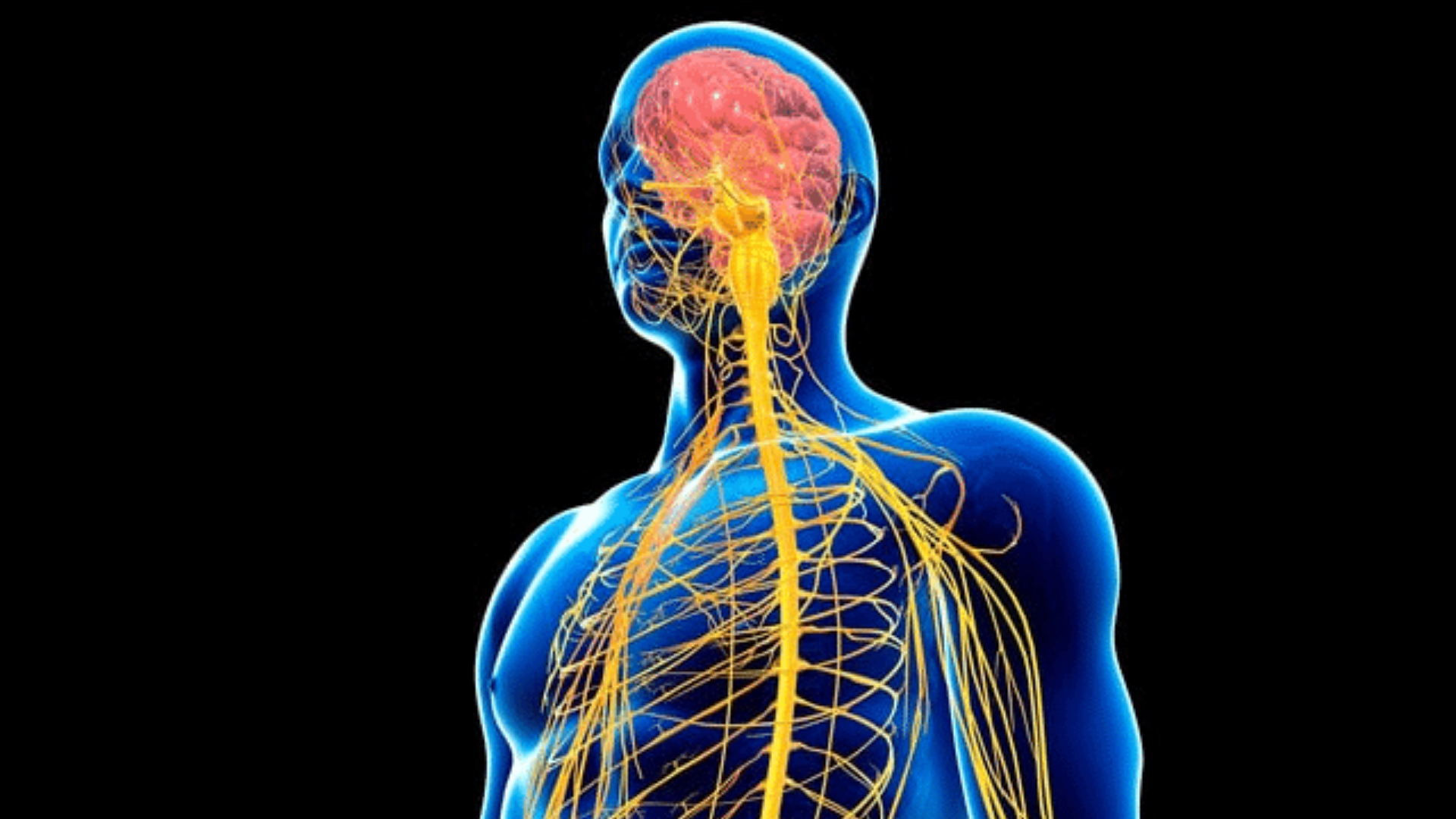 neurofeedback services scottsdale az