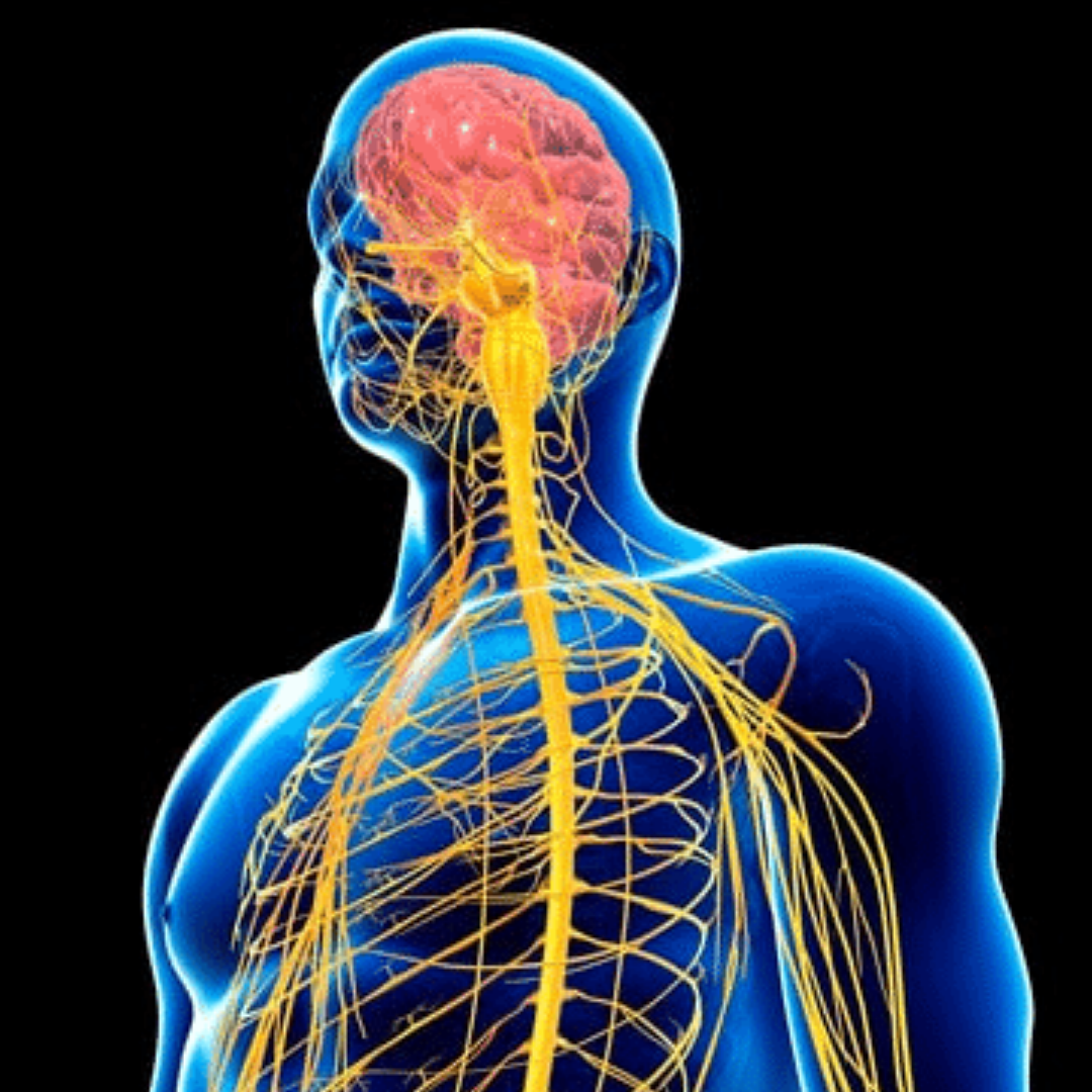 neurofeedback services scottsdale az